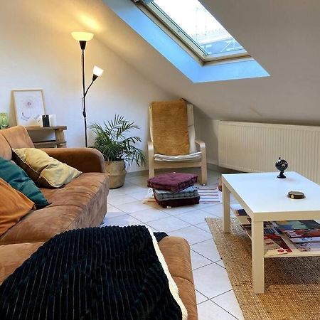 Apartamento 10Min Bus Strasbourg Centre-Parking Prive-Wifi-Tv Bischheim Exterior foto